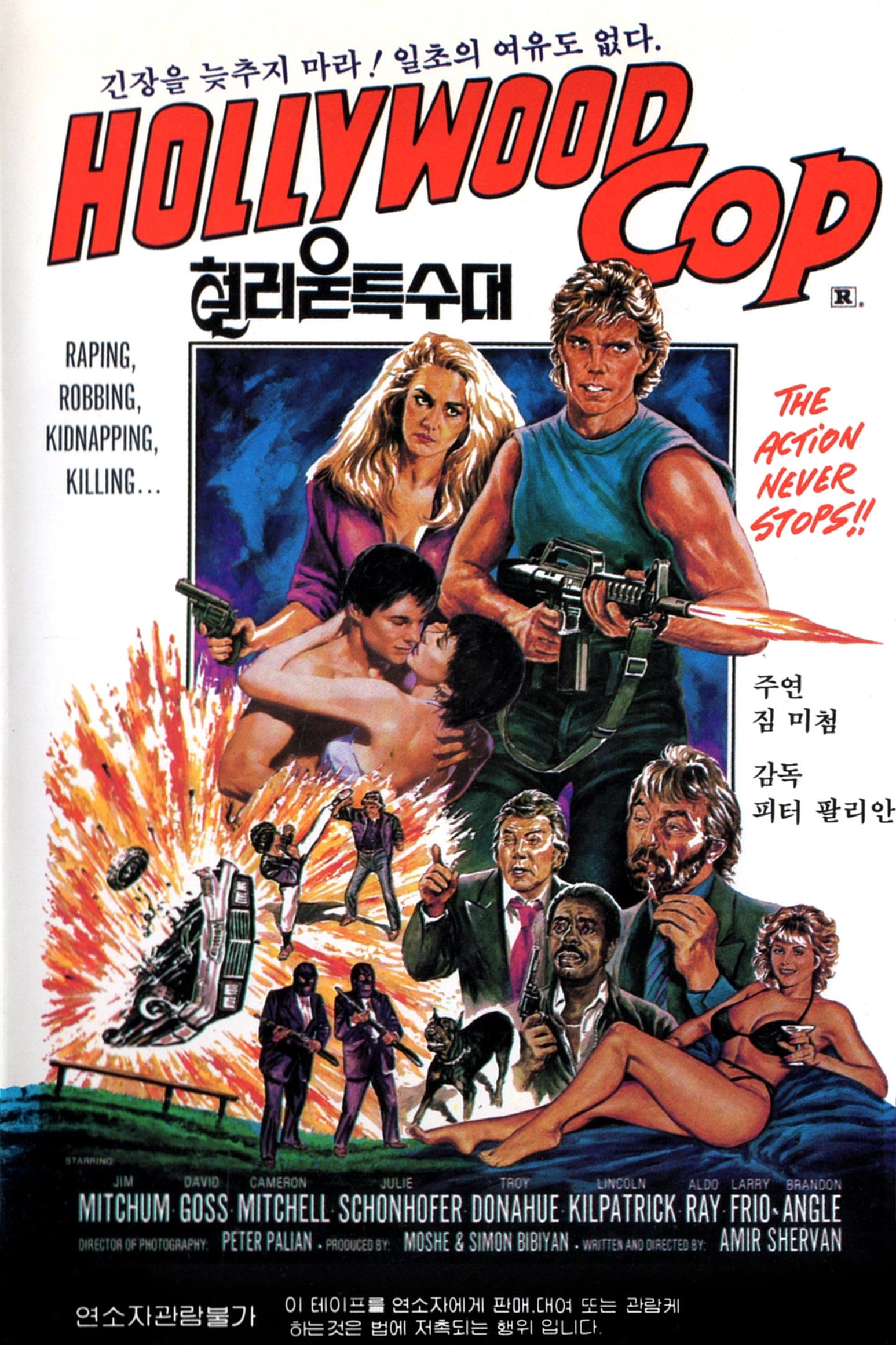 Hollywood Cop