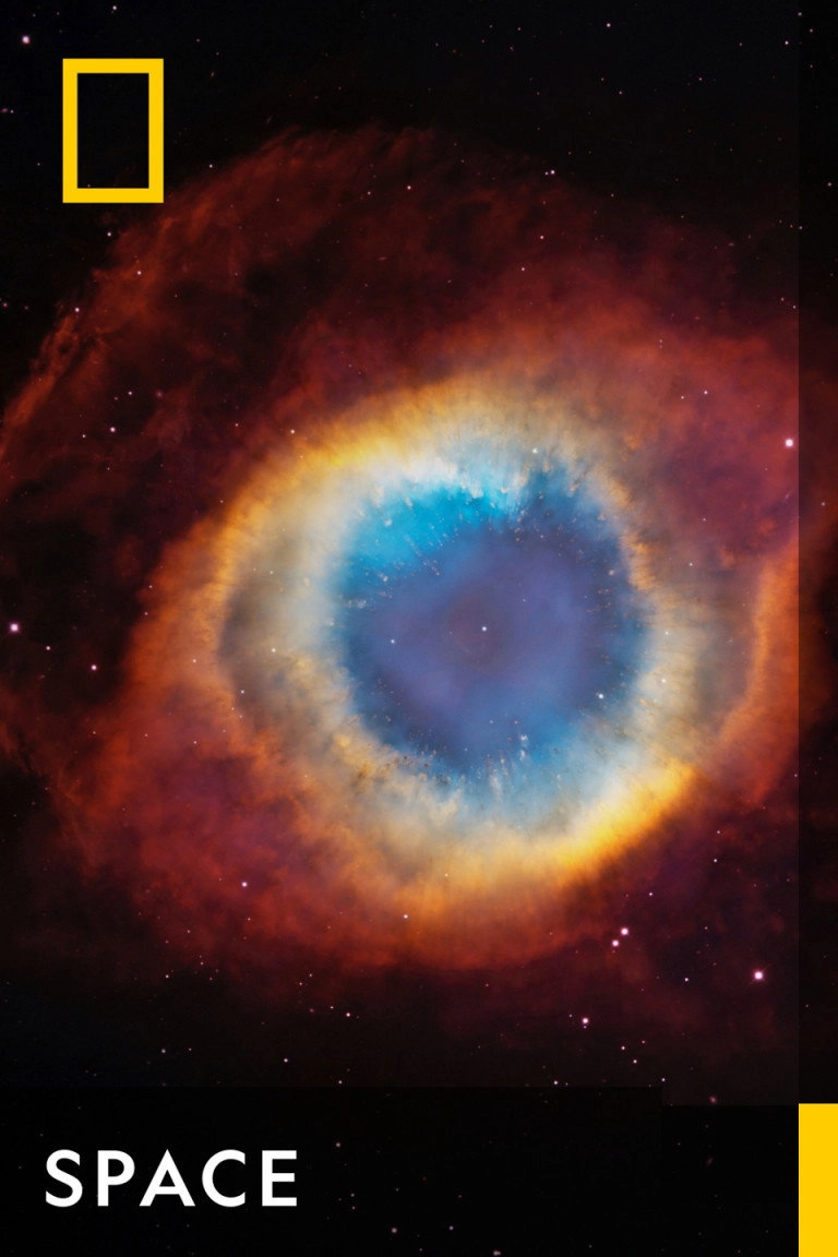 Cosmos