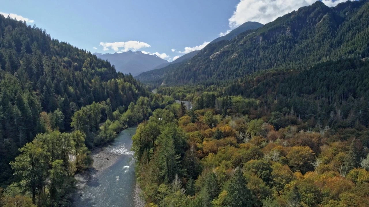 Le retour de la nature sauvage