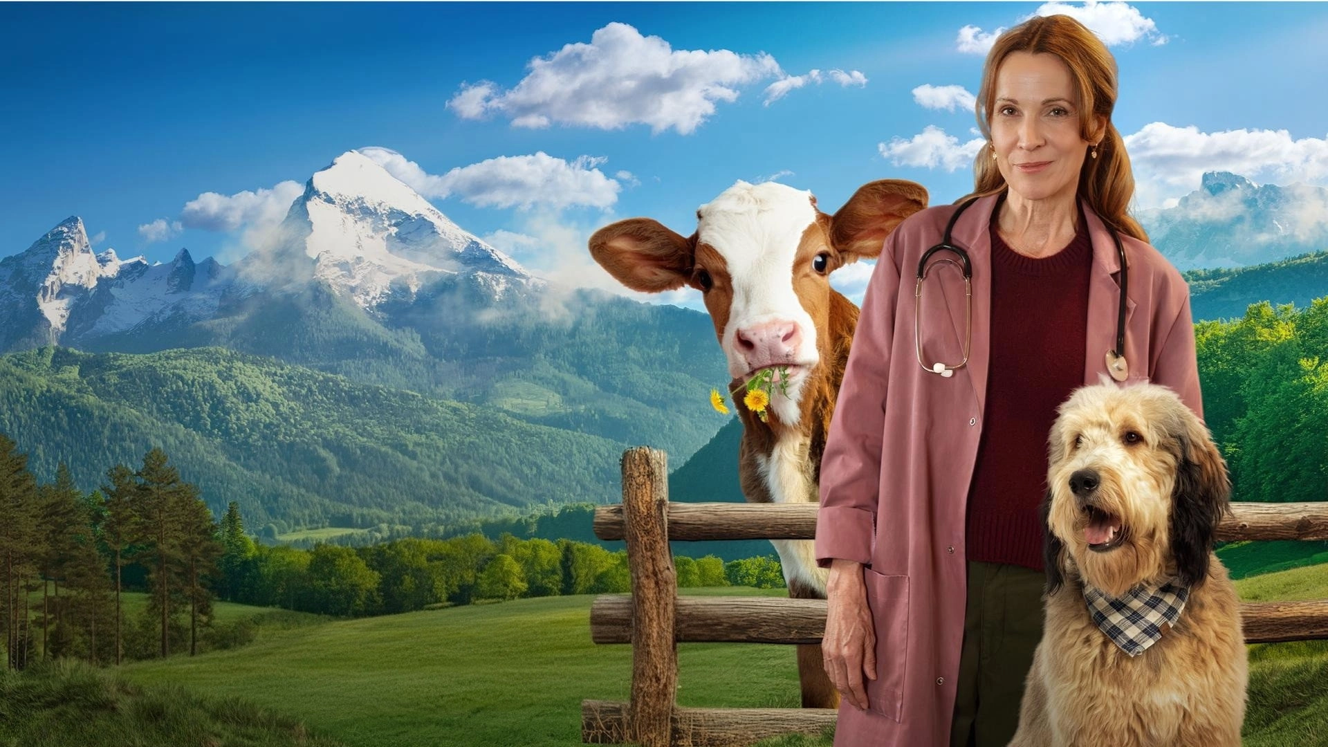 Die Maiwald