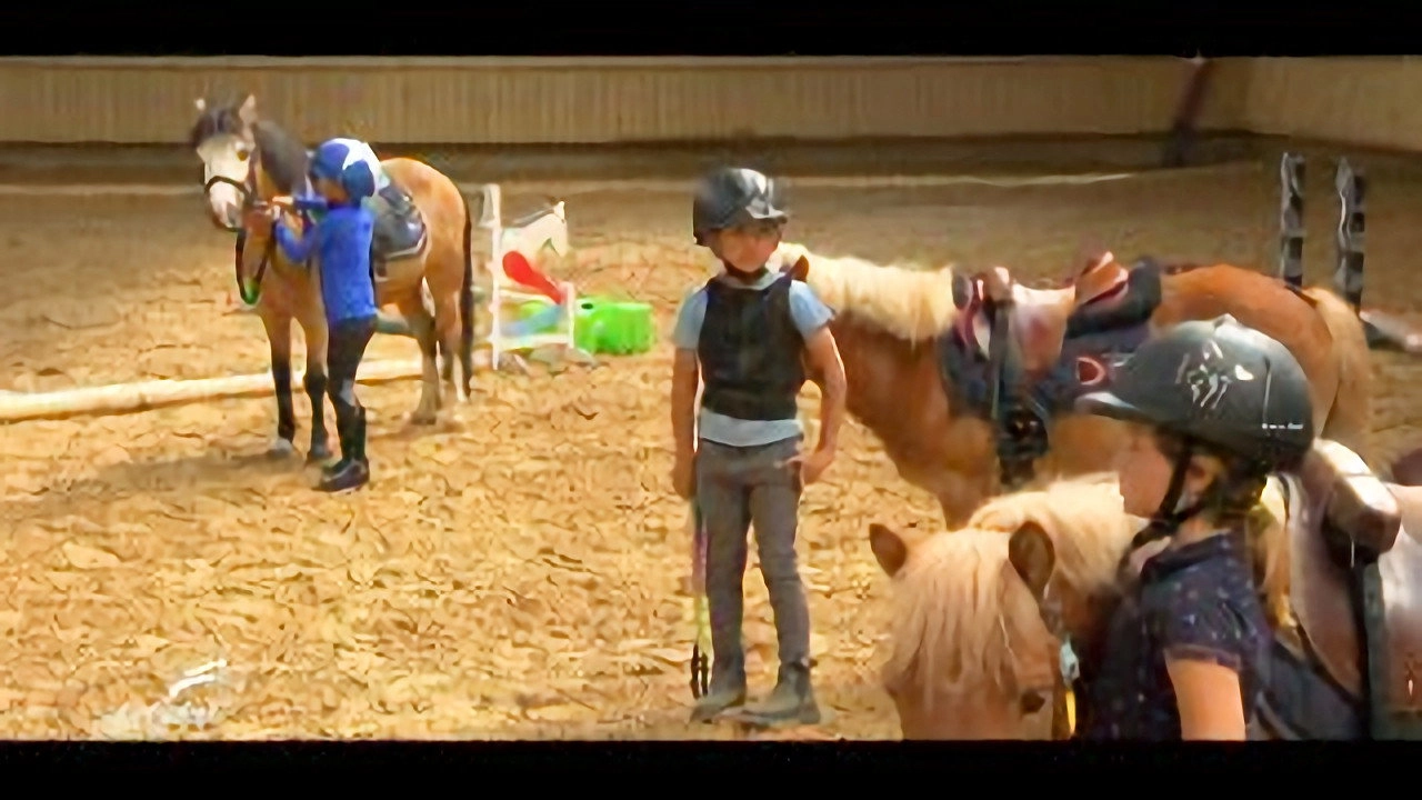 Au galop ! une saison à cheval