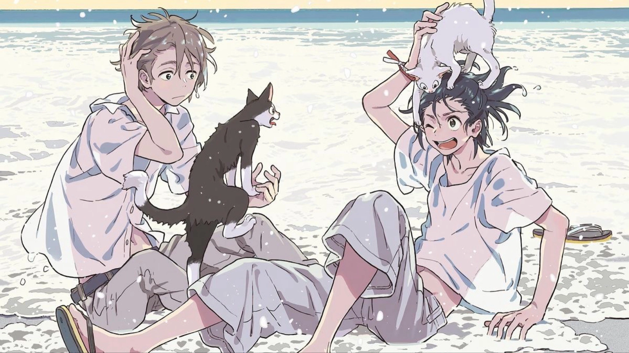 The Stranger by the Shore