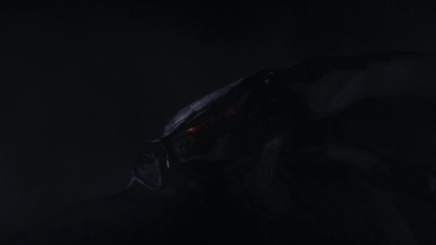 Godzilla