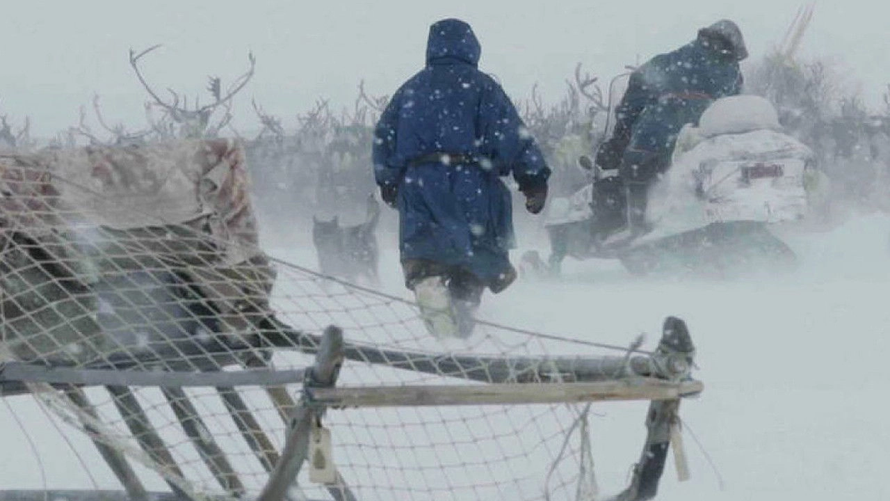 Russian Gas and the Nenets