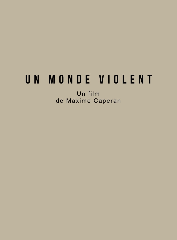 A Violent World