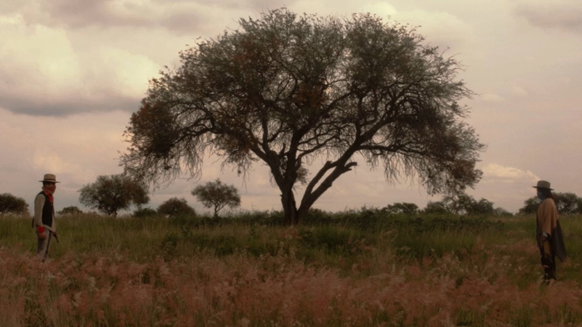 Landscape and Language