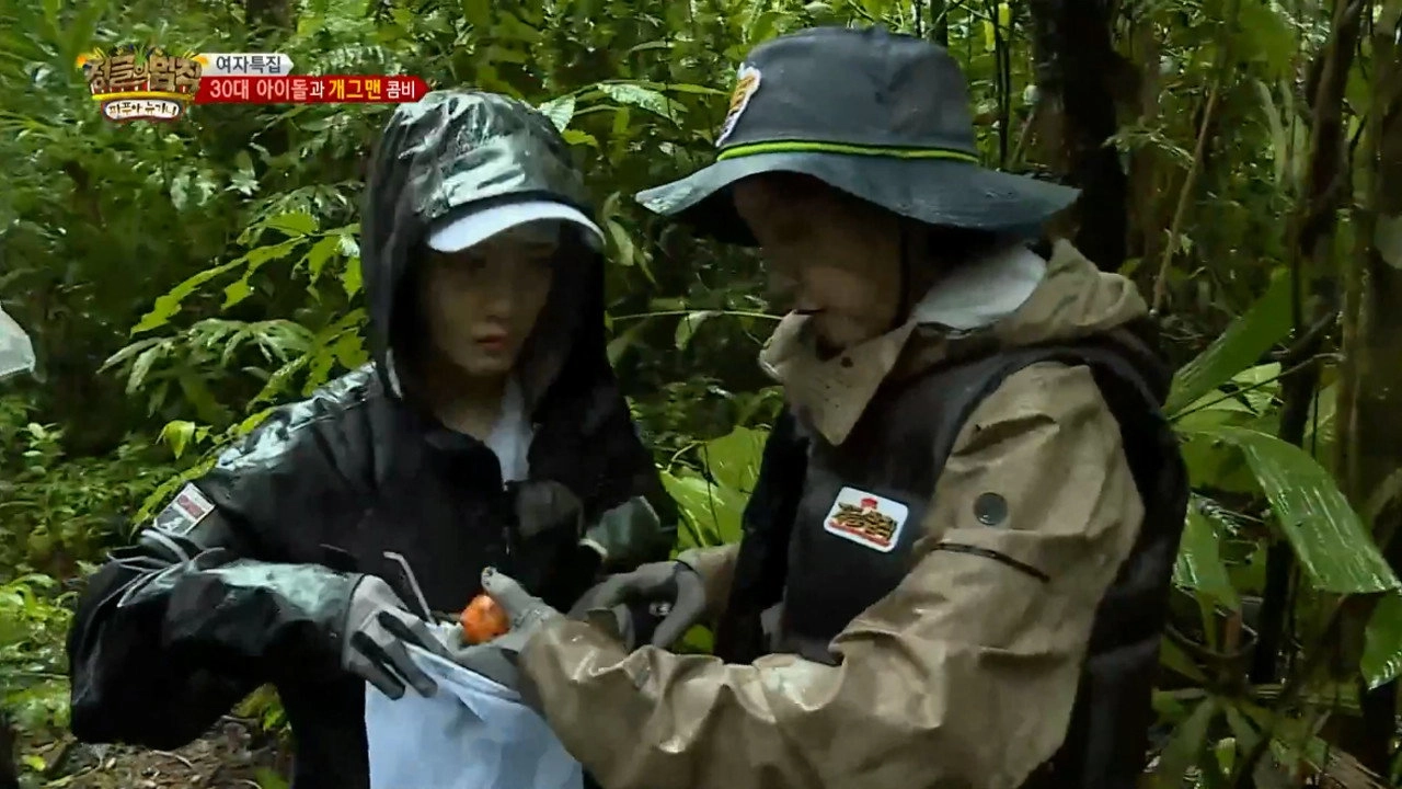 Law of the Jungle