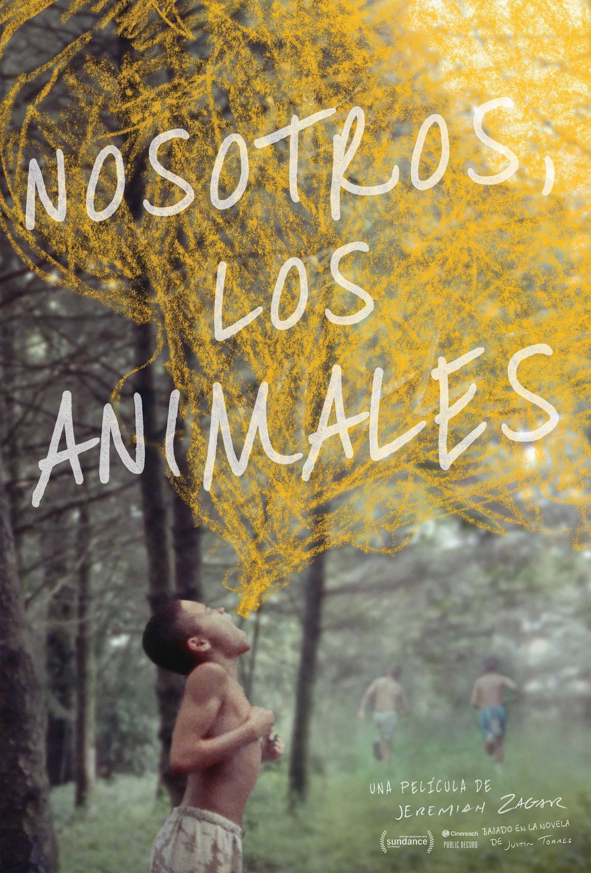 We the Animals
