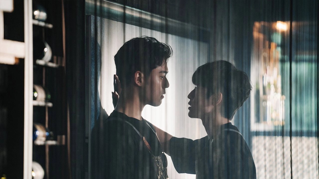 My Tooth Your Love