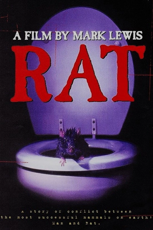 Rat