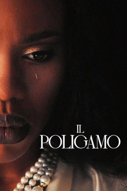 The Polygamist