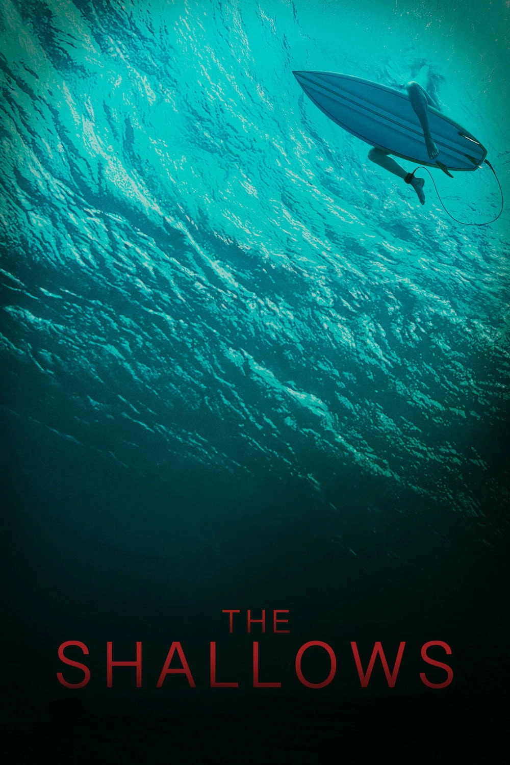The Shallows