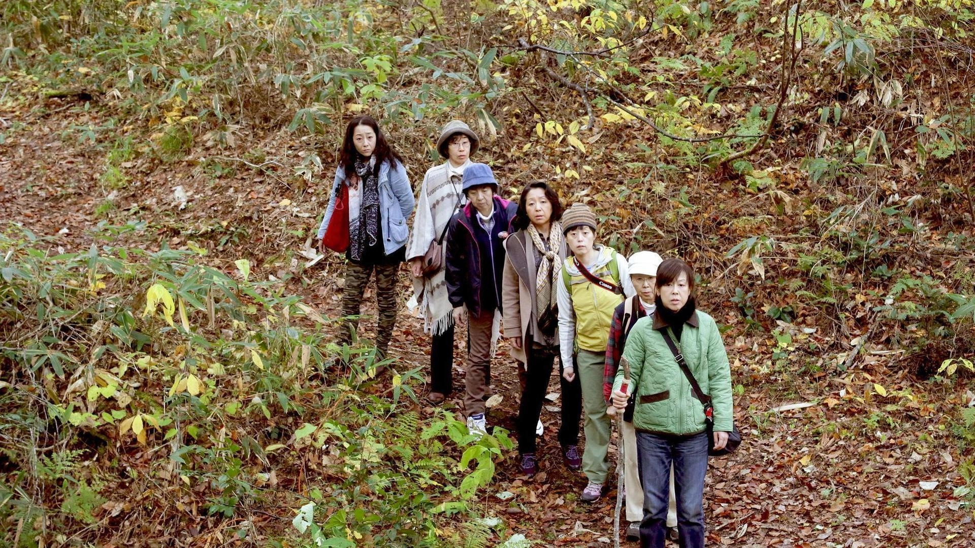 Ecotherapy Getaway Holiday