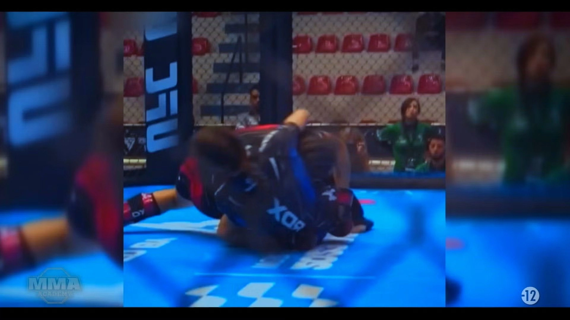 MMA Academy