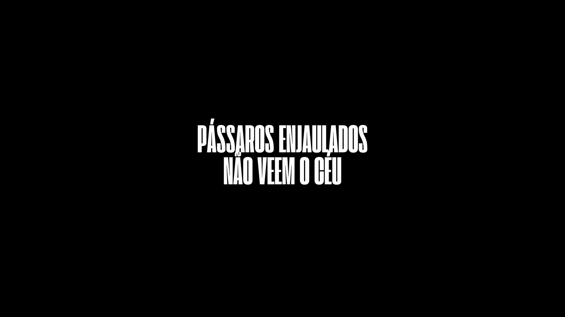 Pássaros Enjaulados Não Veem o Céu