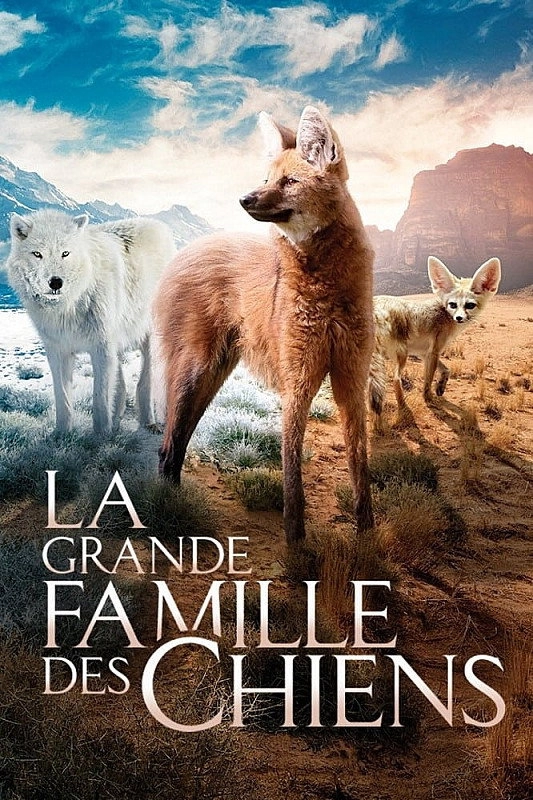 Dogs in the Wild: Meet the Family