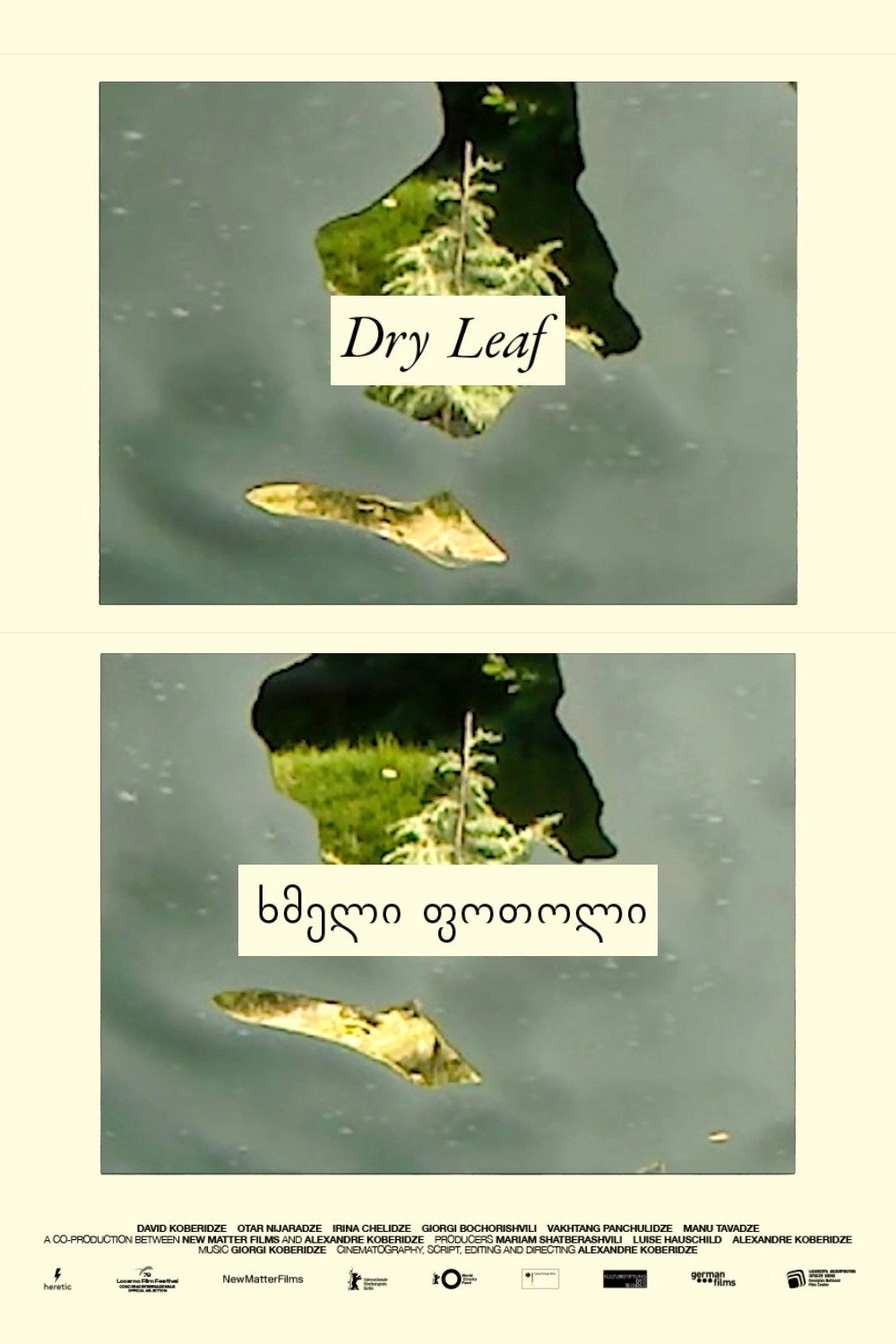 Dry Leaf