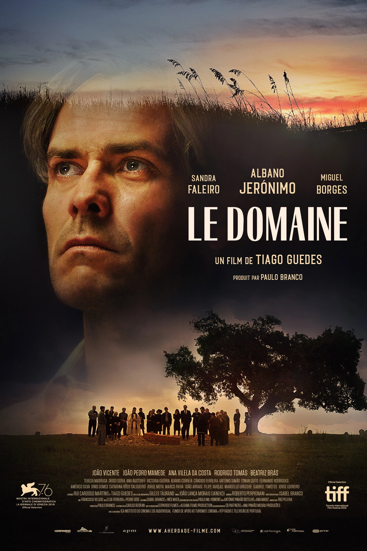 The Domain
