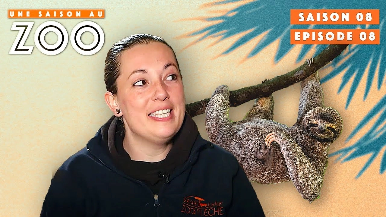 Une saison au zoo