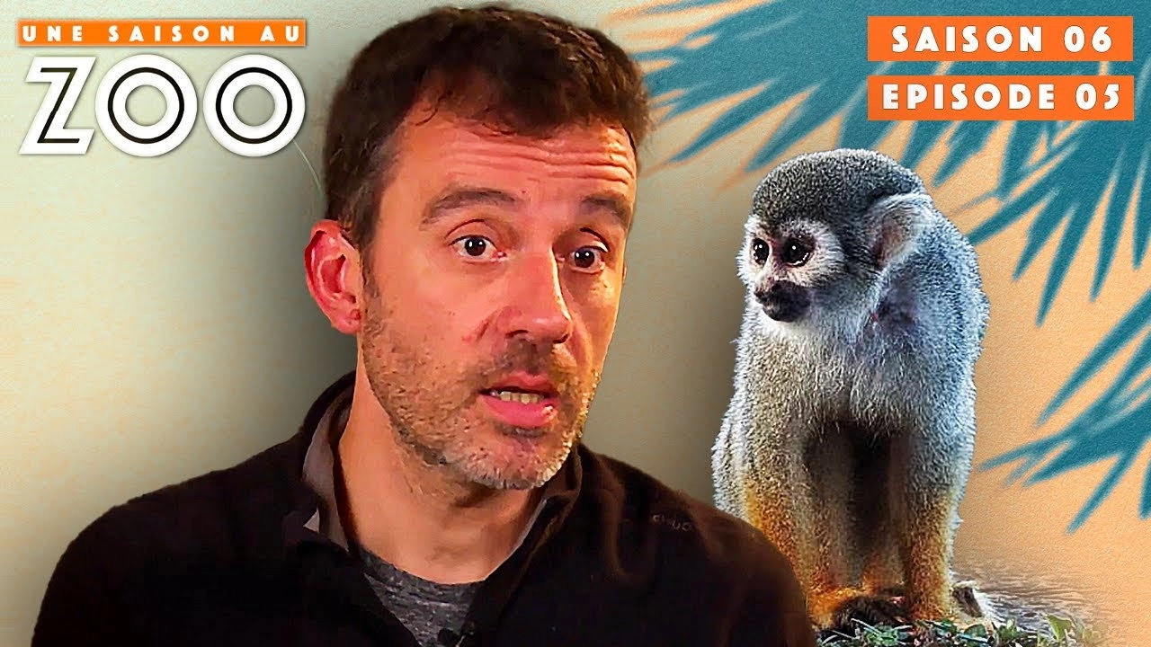 Une saison au zoo