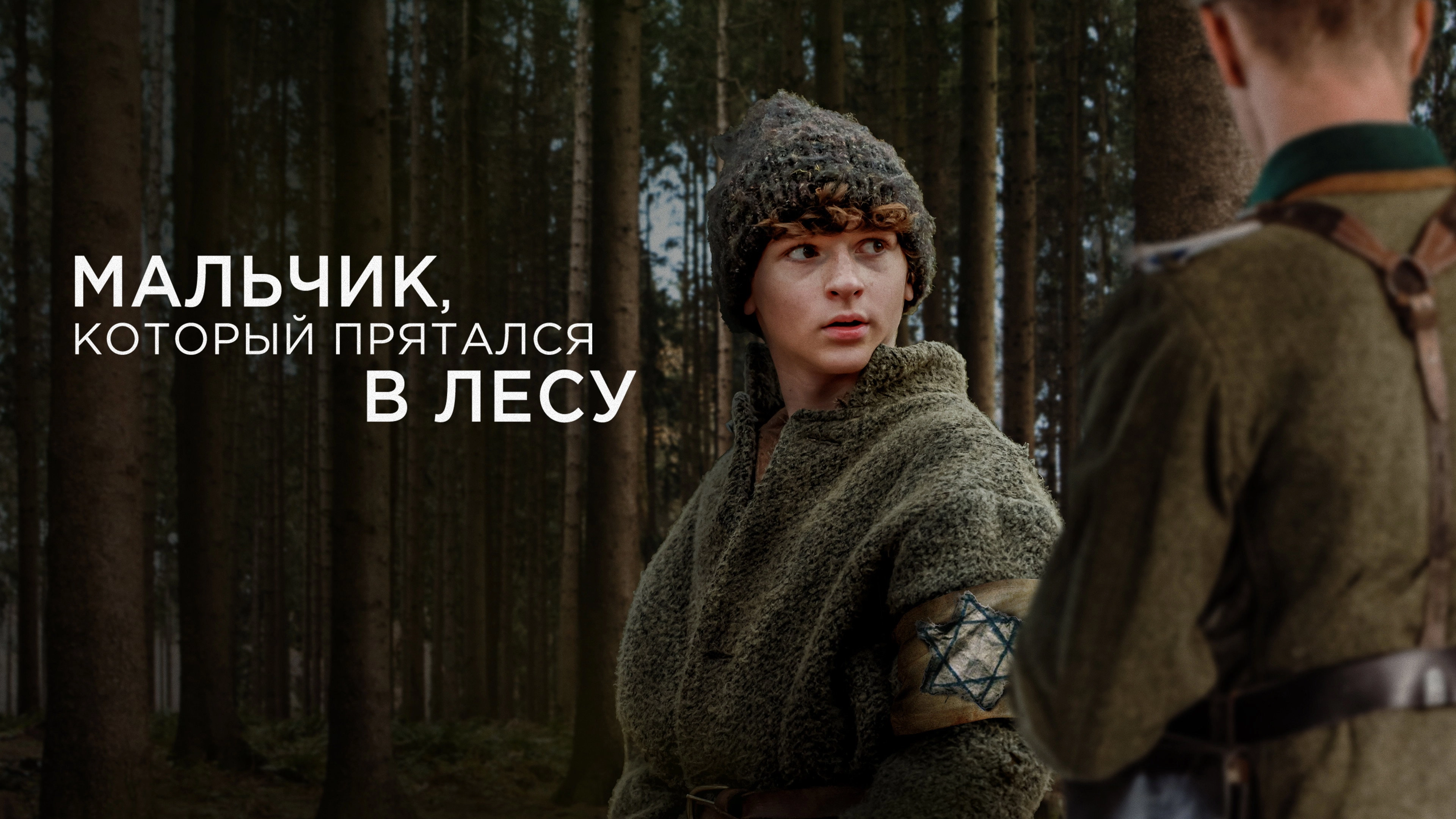 The Boy in the Woods