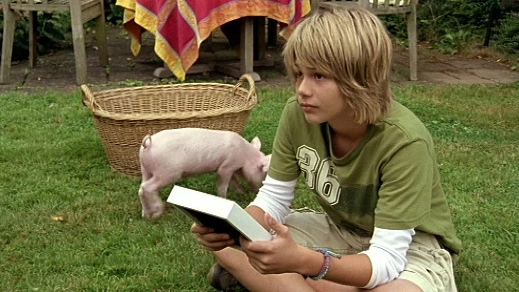 Rennschwein Rudi Rüssel