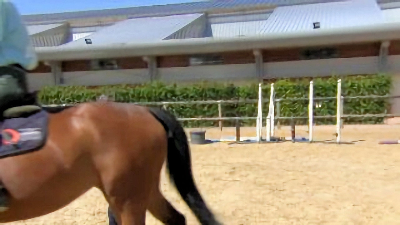 Au galop ! une saison à cheval