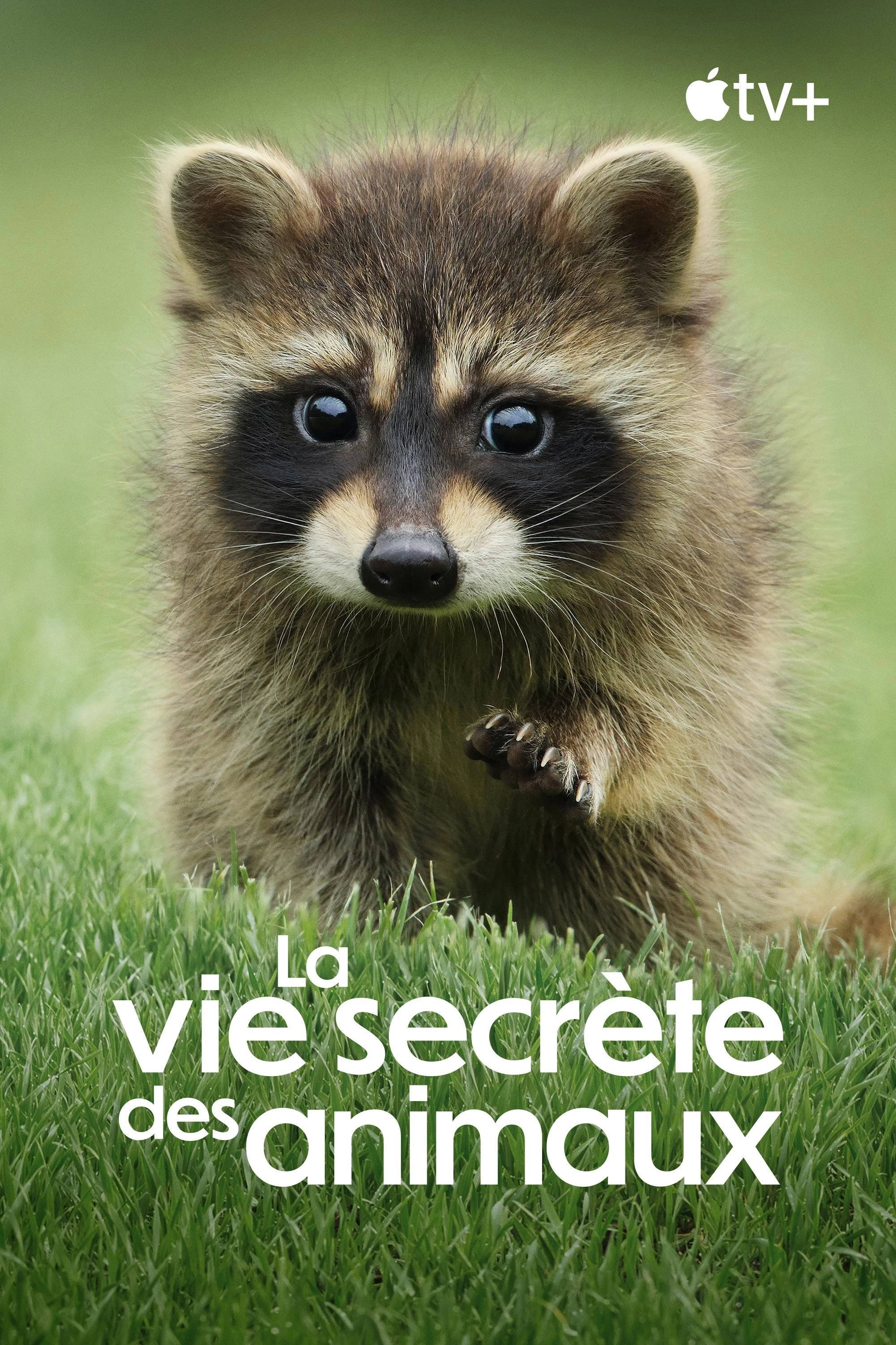 The Secret Lives of Animals