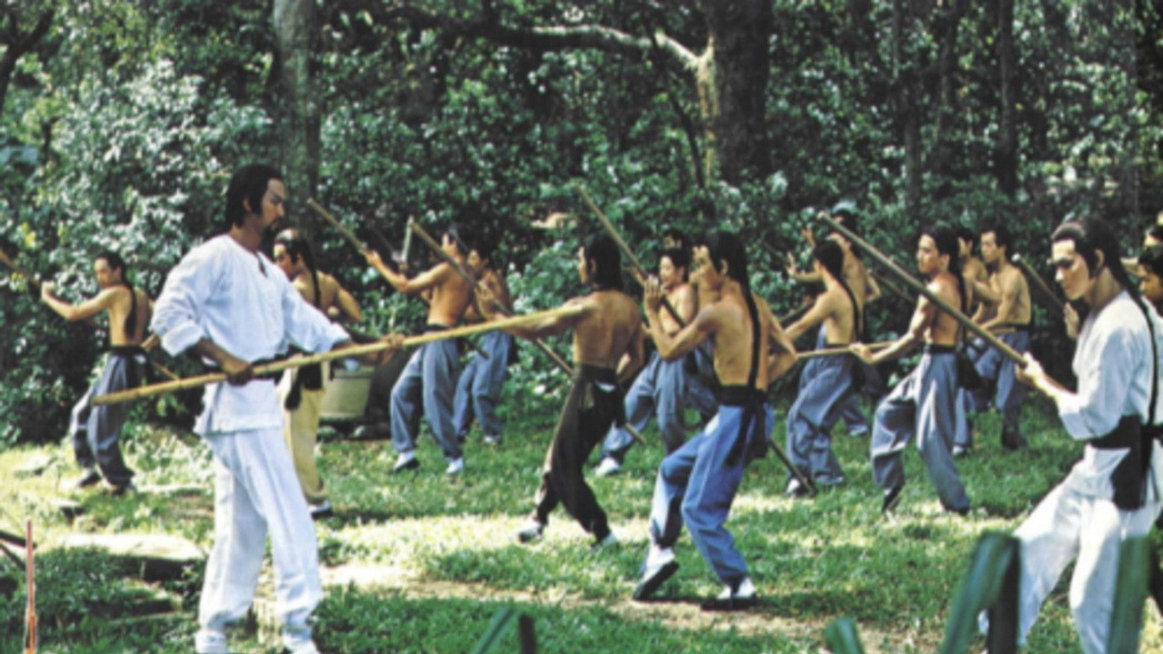 The Kung Fu Instructor