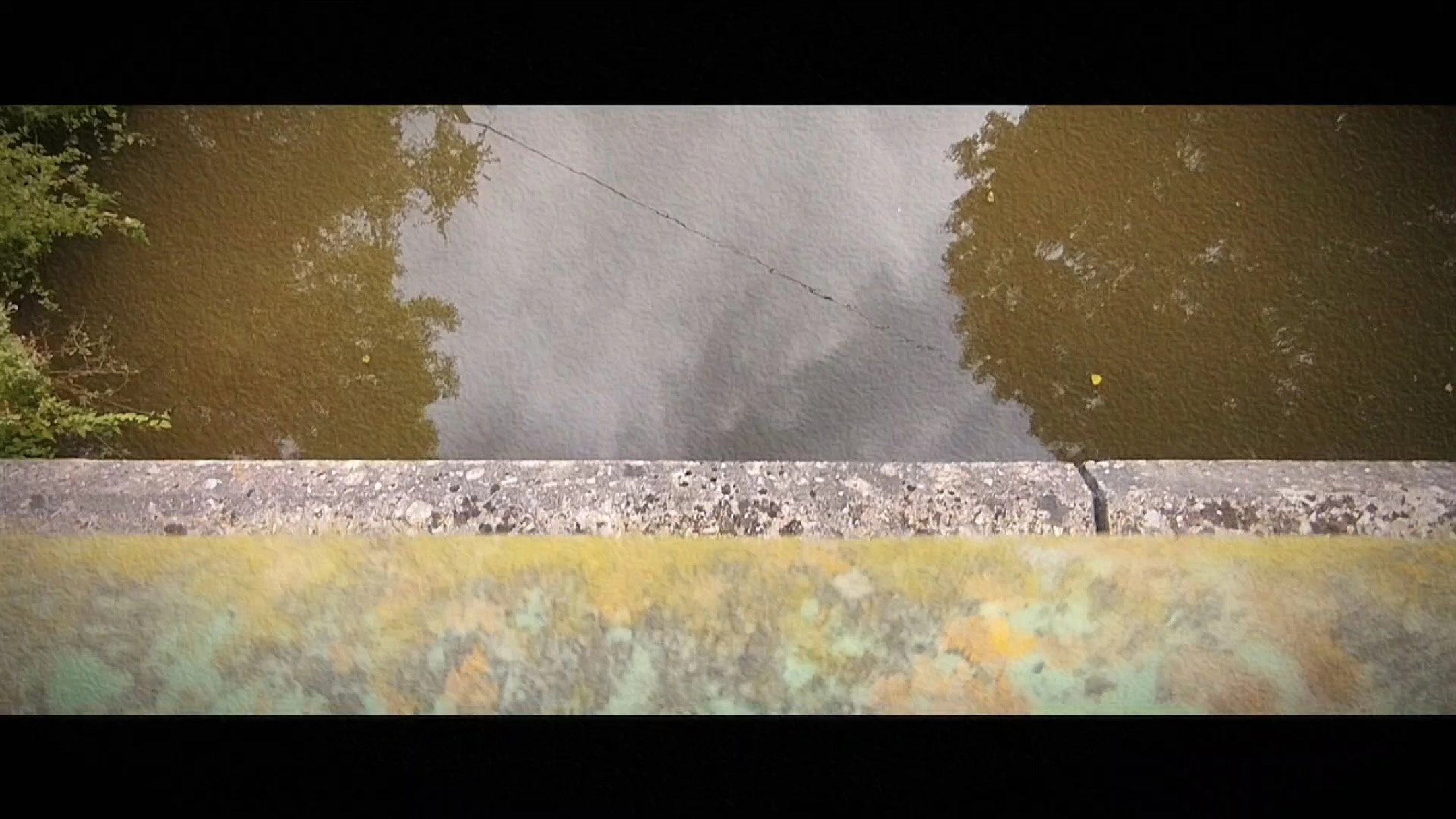 Wandering: The Art of Noticing