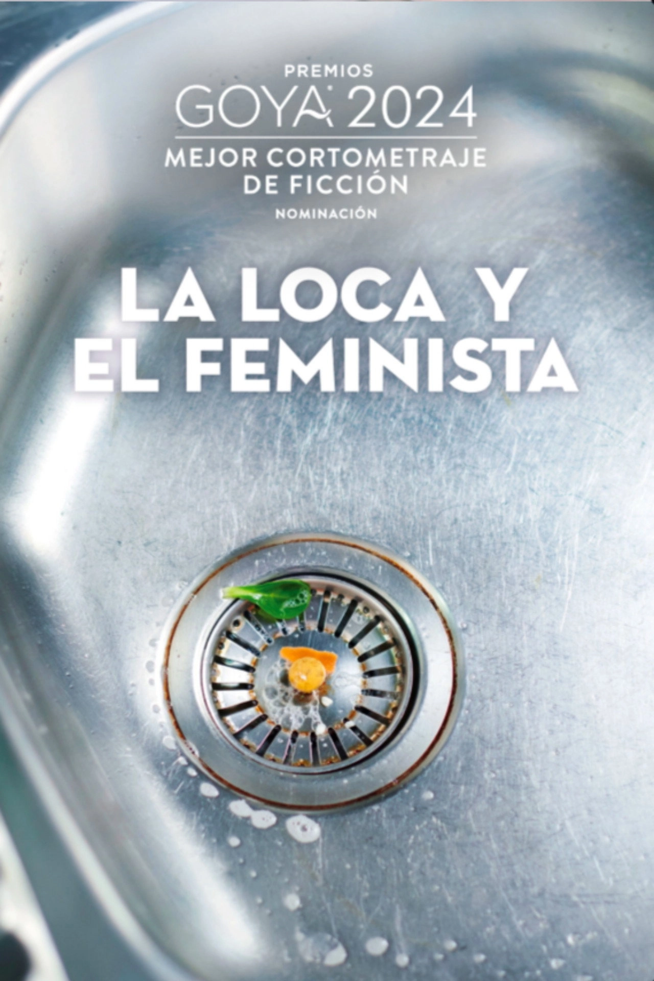The madwoman and the feminist