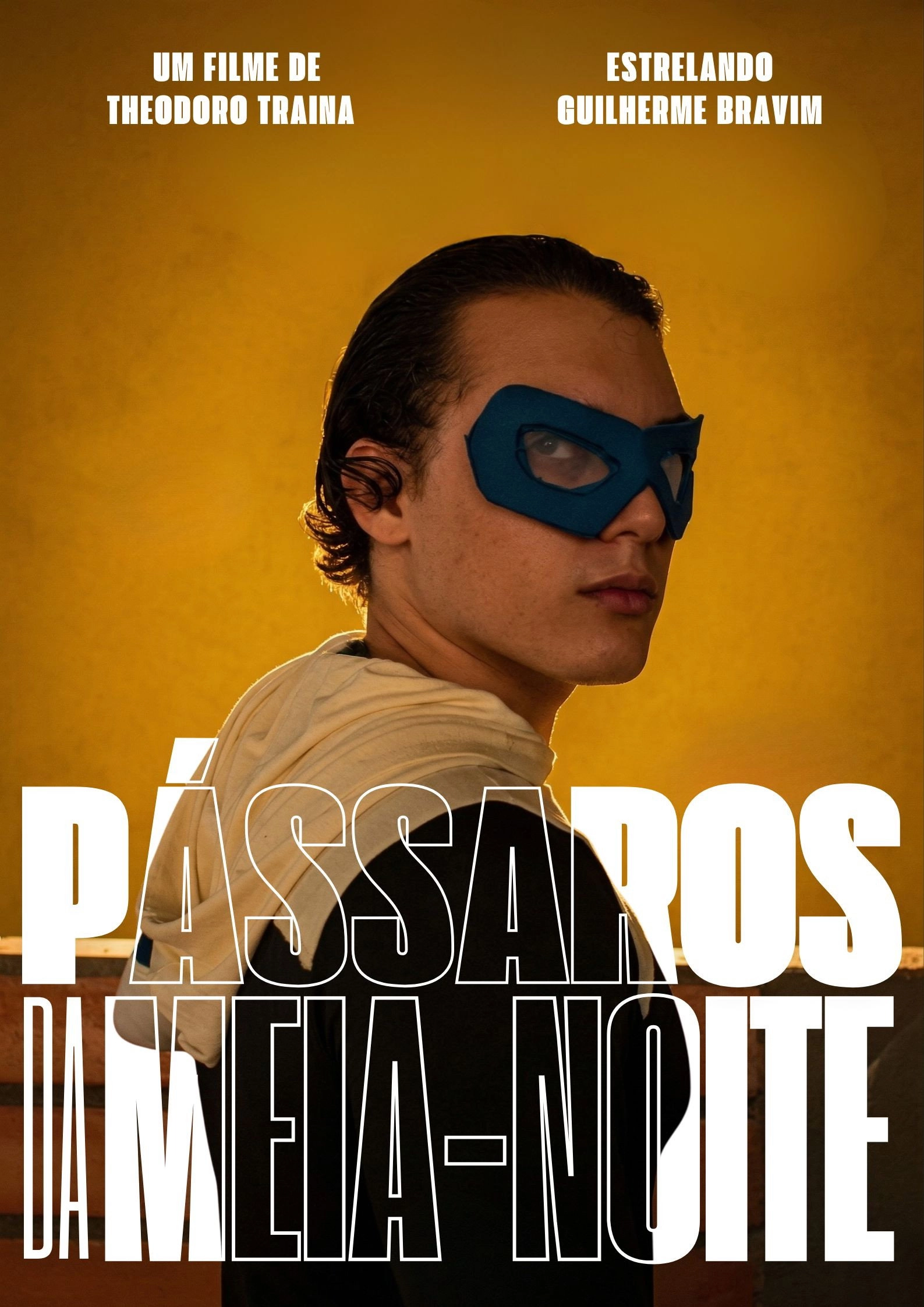 Pássaros da Meia noite