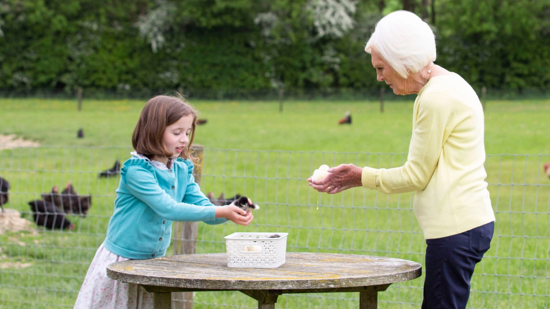 Mary Berry: Love to Cook