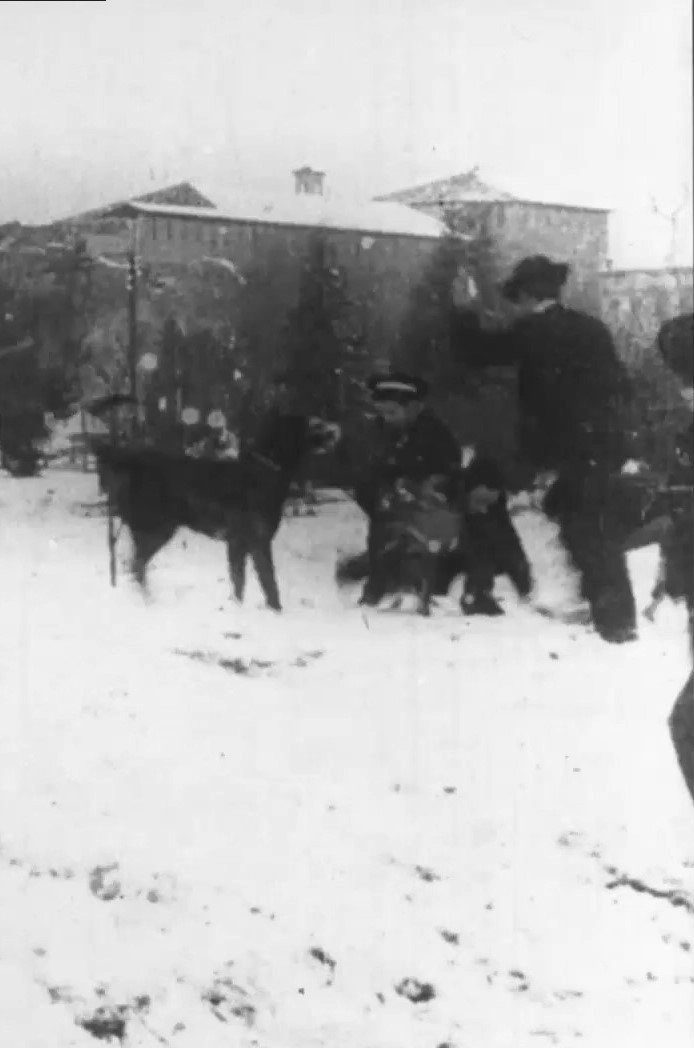 Snowball Fight