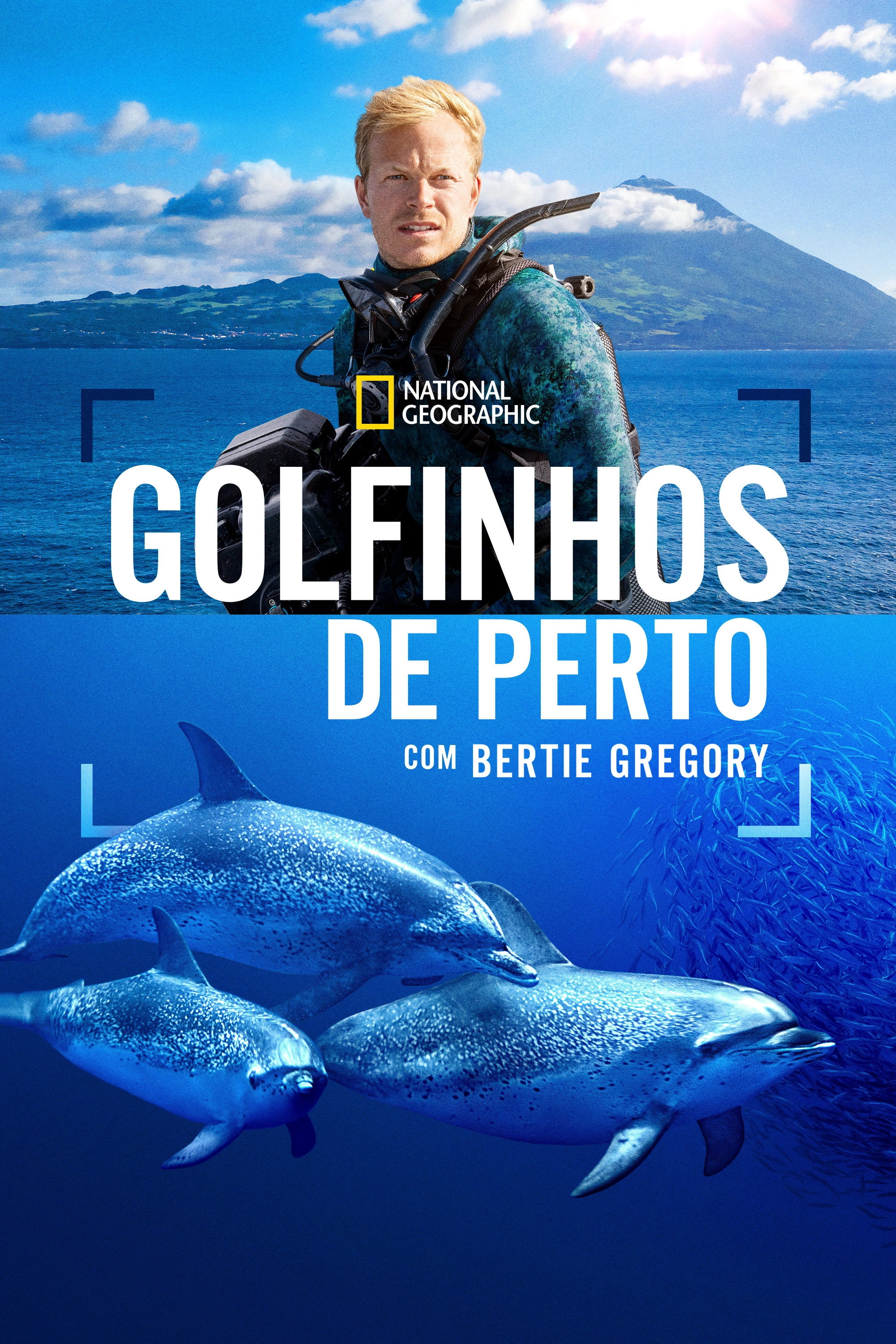 Dolphins Up Close with Bertie Gregory