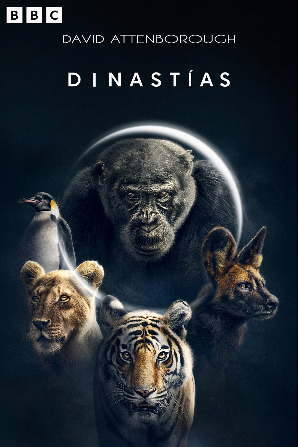 Dynasties