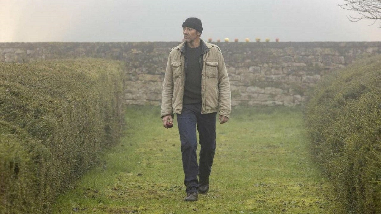 The Traveller