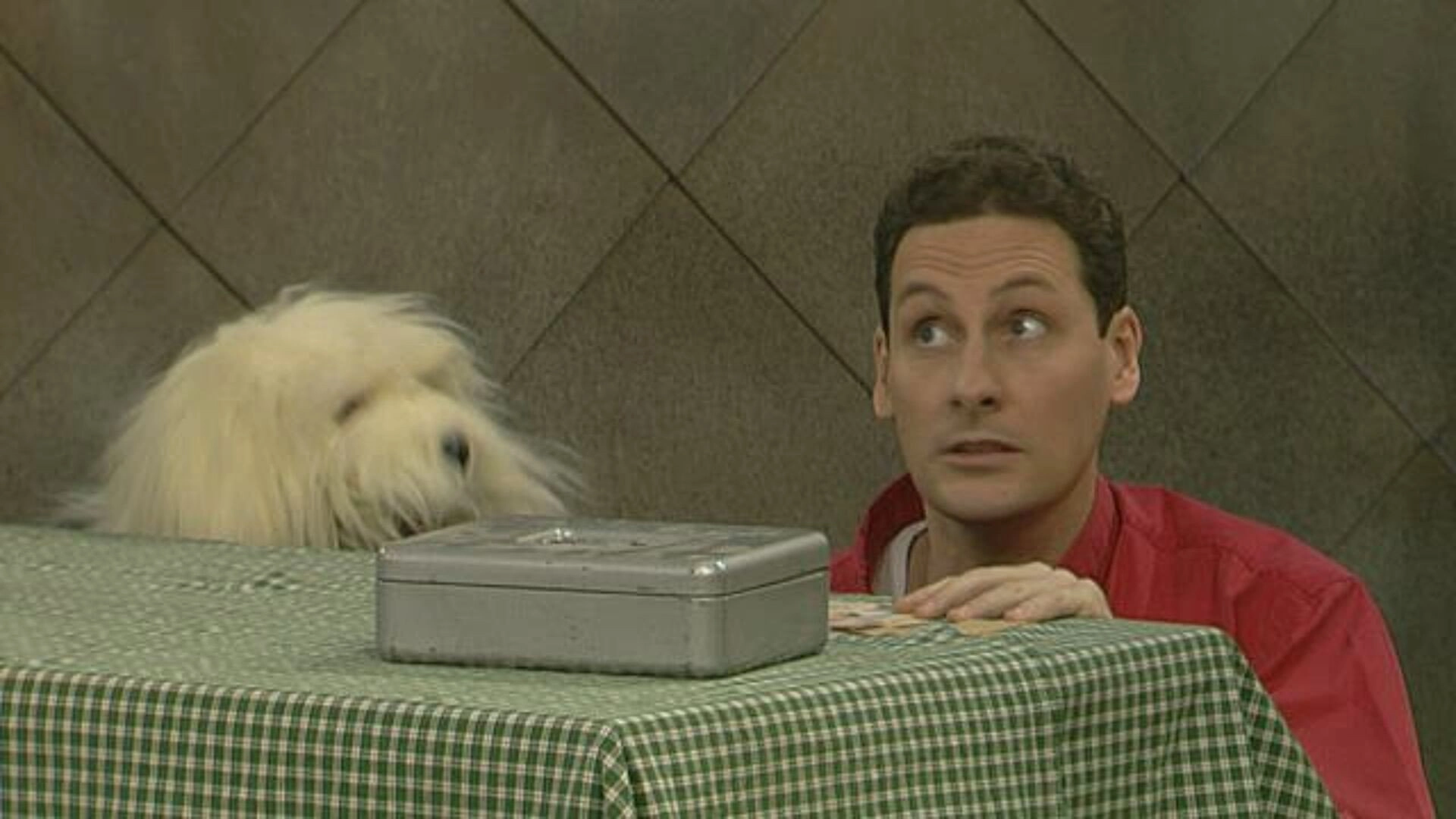 Samson & Gert