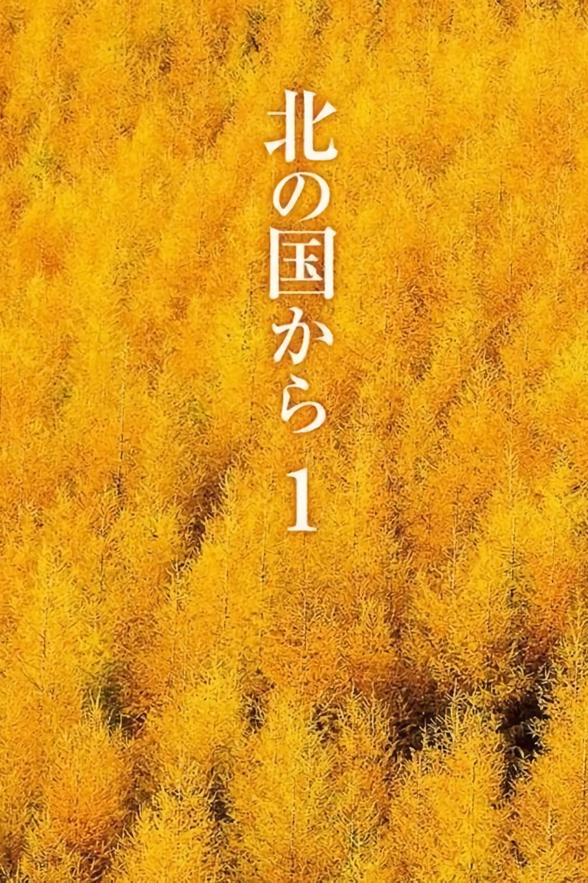 Kita no kuni kara