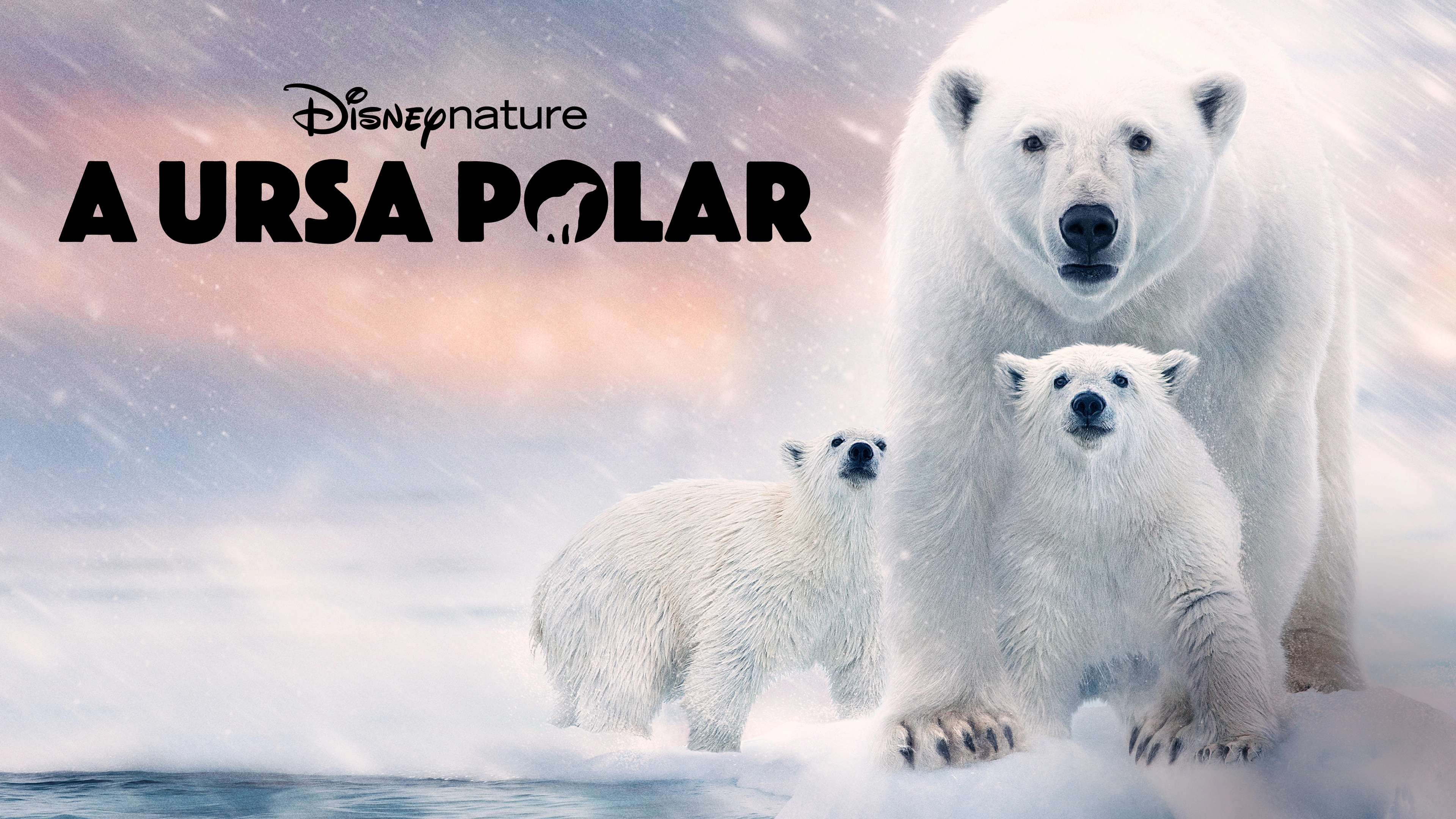 Polar Bear