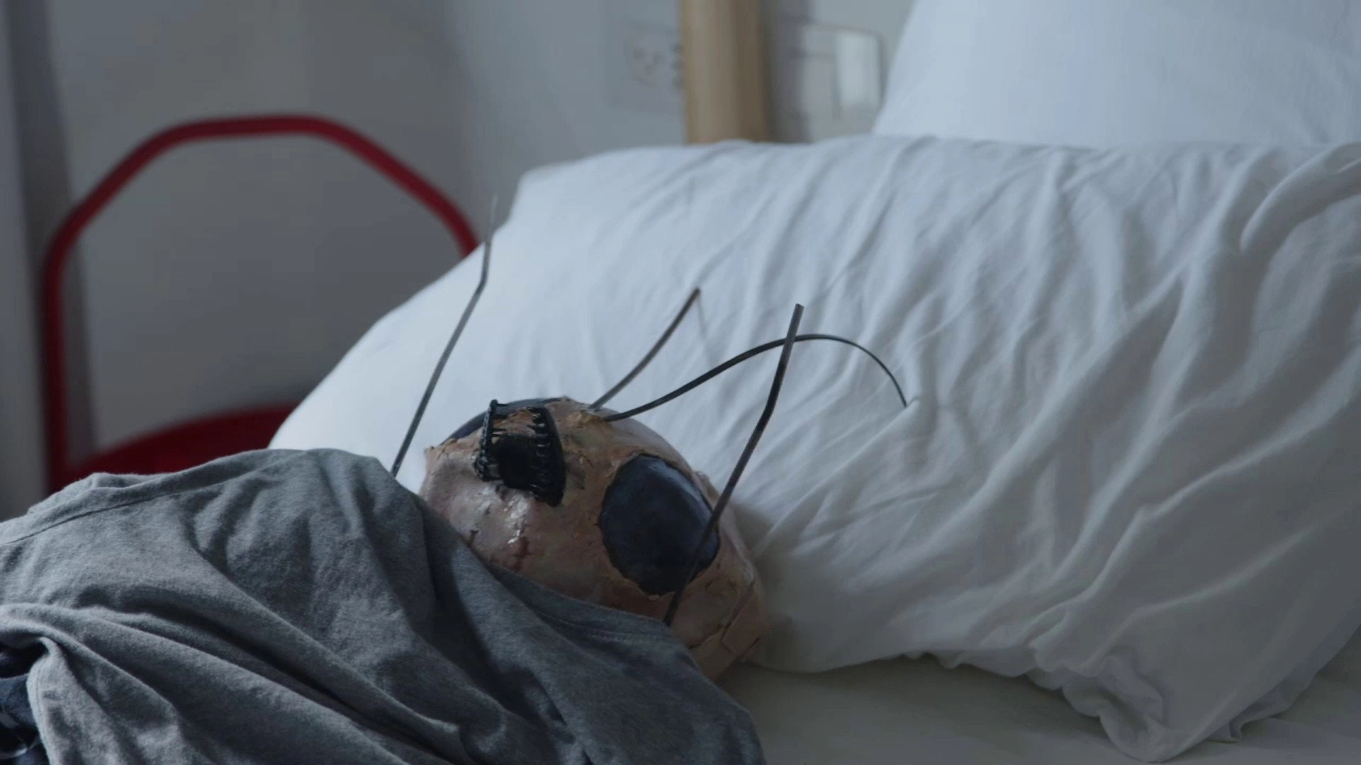 If I Was a Bug