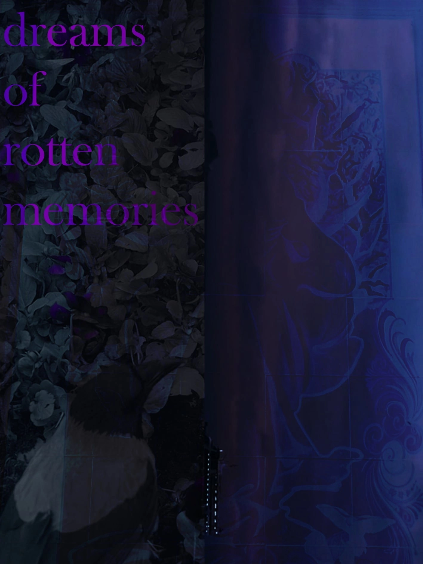 Dreams of Rotten Memories