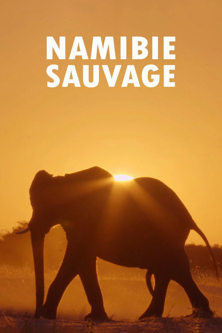 Namibia’s Natural Wonders