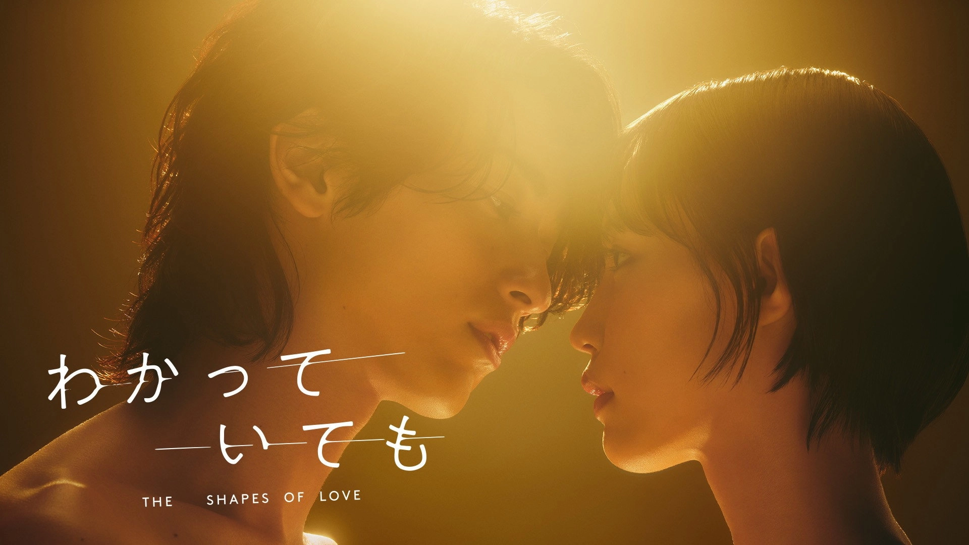 Nevertheless: The Shapes of Love