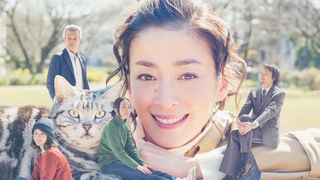 Gu Gu the Cat