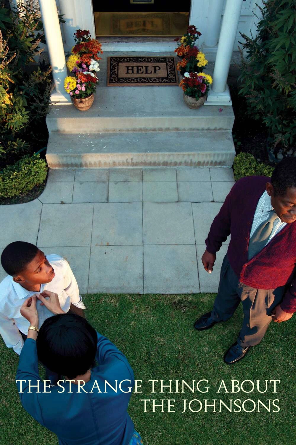 The Strange Thing About the Johnsons