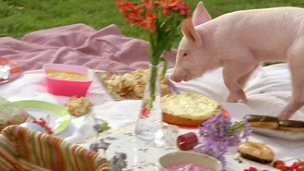 Rennschwein Rudi Rüssel