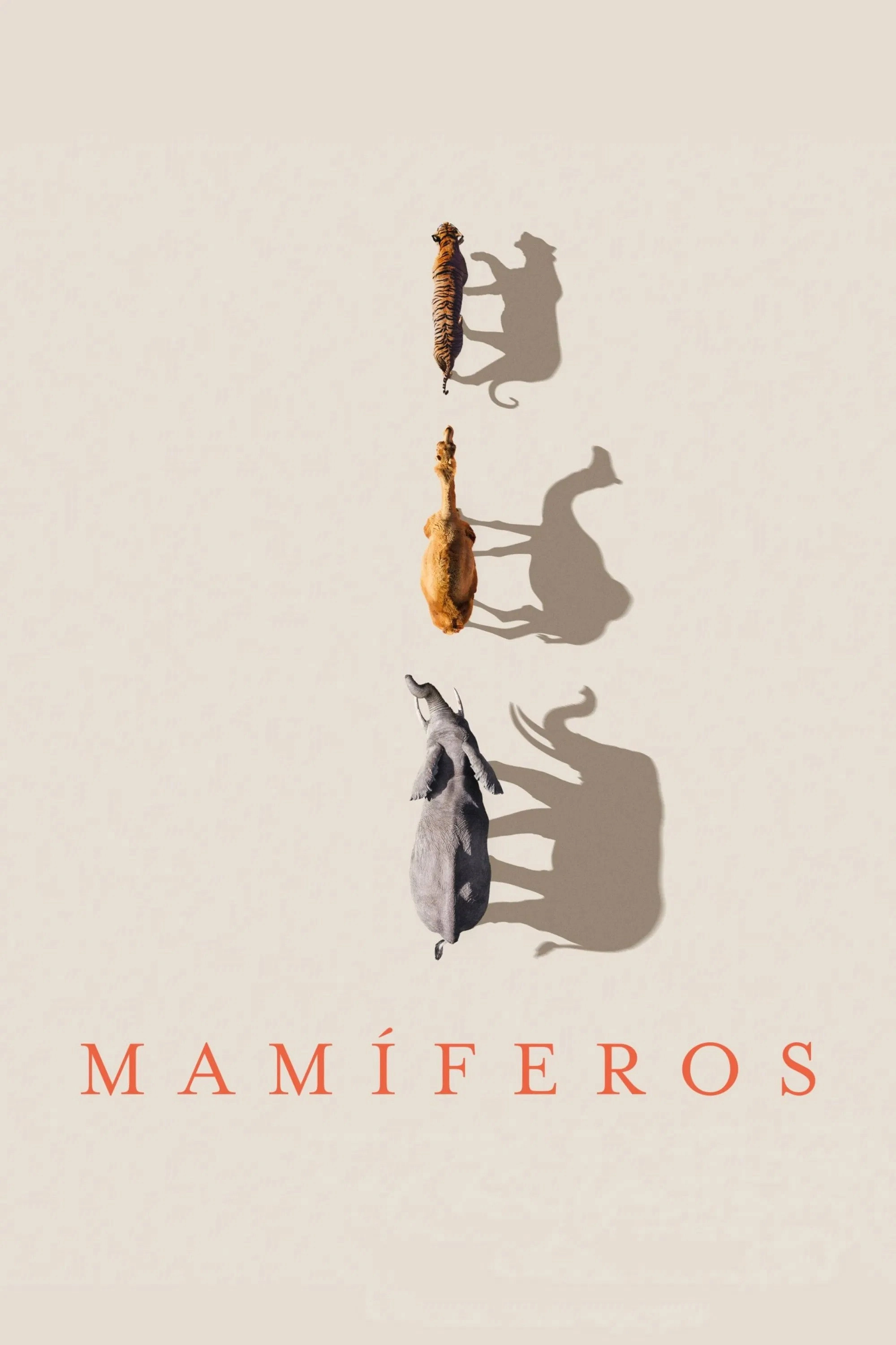 Mammals