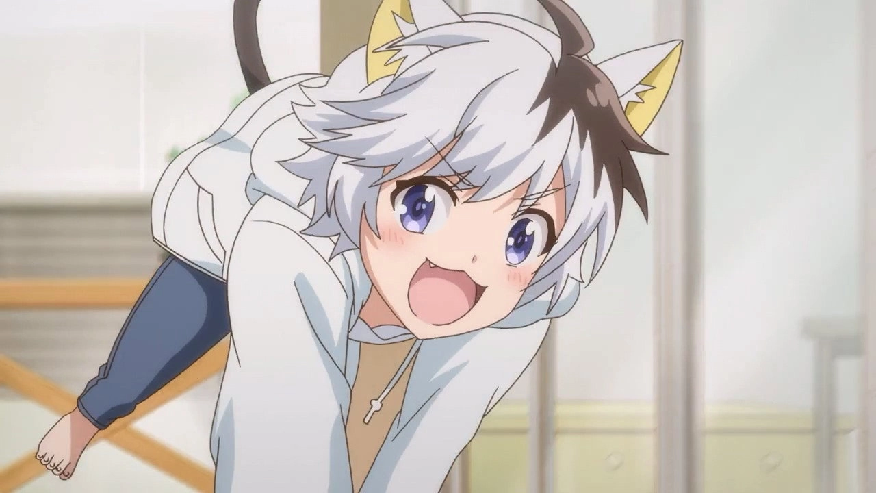 Uchitama?! Have You Seen My Tama?