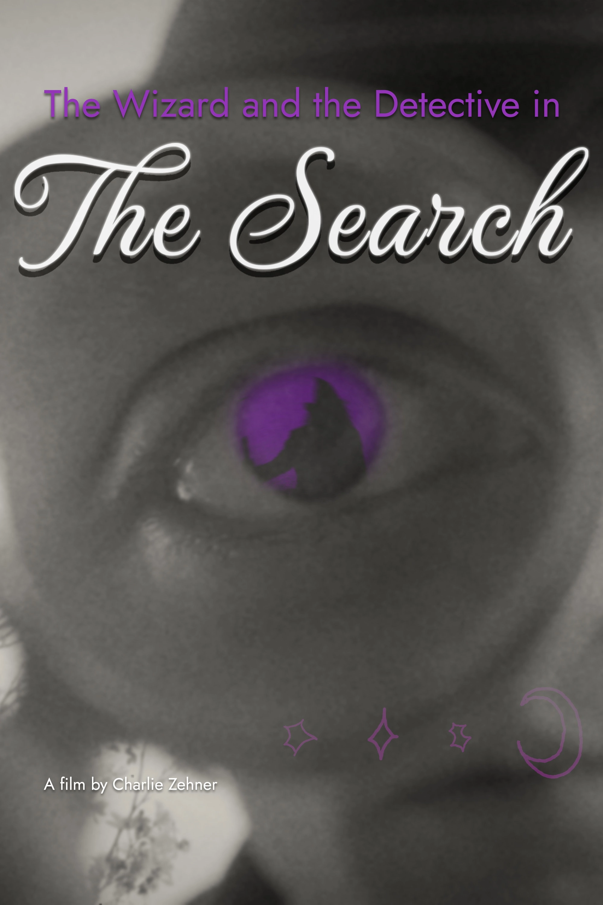 The Wizard and the Detective in the Search